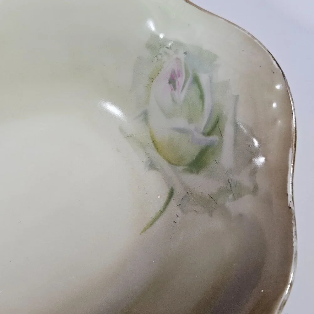 Vintage Mignon ZS and Co Bavaria Porcelain Rose Pattern Oval Celery Serving Dish